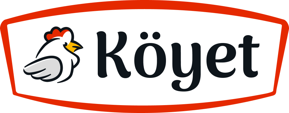 koyet-logo-color